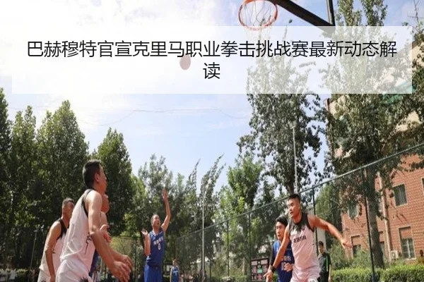 巴赫穆特官宣克里马职业拳击挑战赛最新动态解读